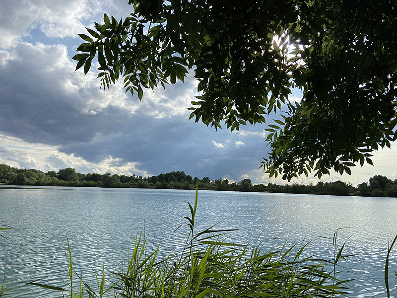 Der Marzlinger Weiher bei Freising im Jahr 2023