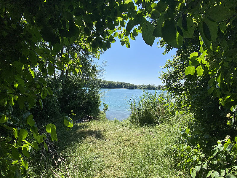 Der Marzlinger Weiher bei Freising im Jahr 2023