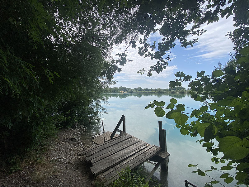 Der Marzlinger Weiher bei Freising im Jahr 2023