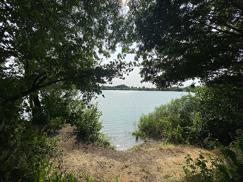 Der Marzlinger Weiher bei Freising im Jahr 2023