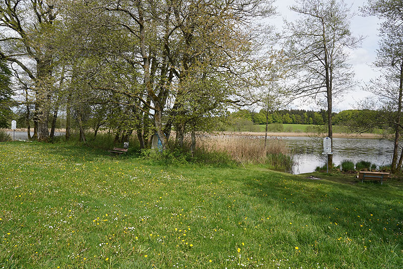 Der Metzisweiler Weiher in Bad Wurzach