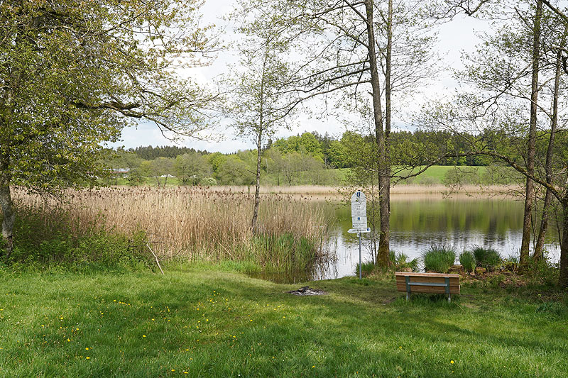 Der Metzisweiler Weiher in Bad Wurzach