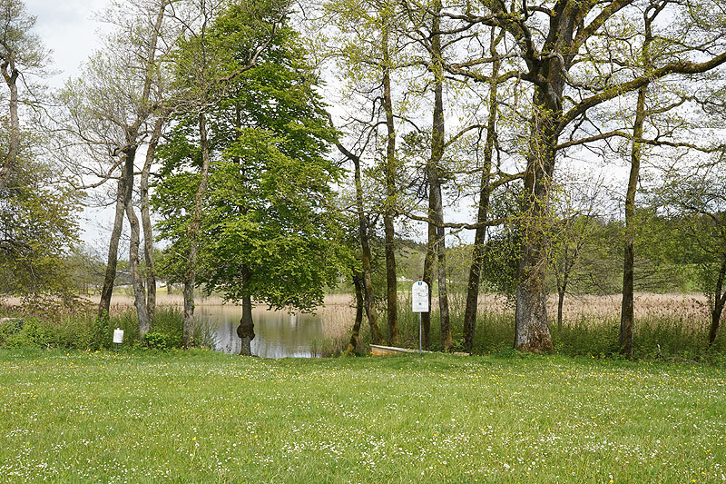 Der Metzisweiler Weiher in Bad Wurzach