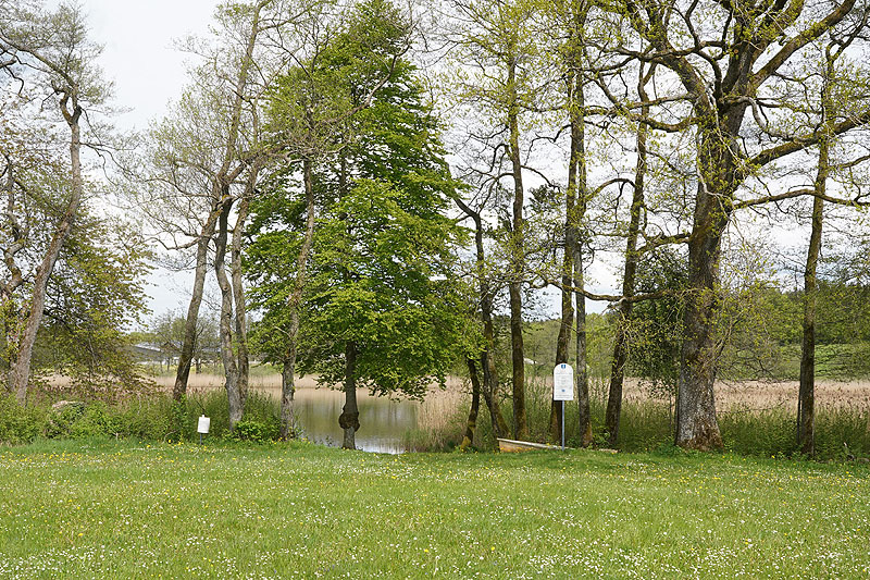 Der Metzisweiler Weiher in Bad Wurzach