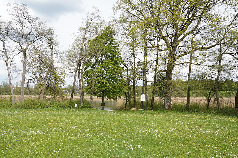 Der Metzisweiler Weiher in Bad Wurzach