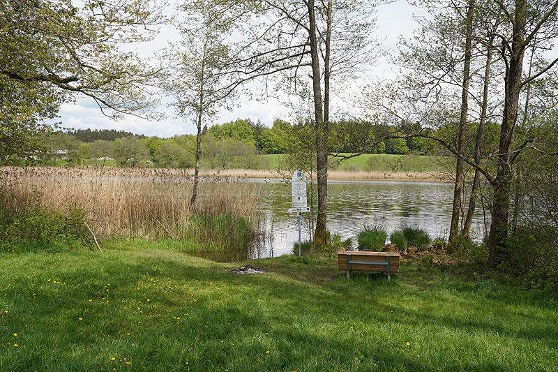 Der Metzisweiler Weiher in Bad Wurzach