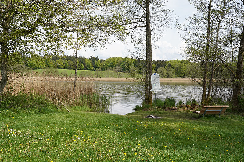 Der Metzisweiler Weiher in Bad Wurzach