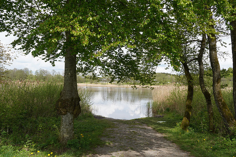 Der Metzisweiler Weiher in Bad Wurzach