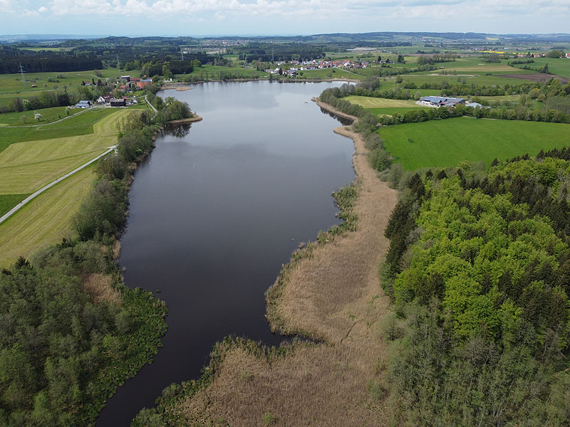 Luftaufnahme, Luftbild vom Metzisweiler Weiher in Bad Wurzach