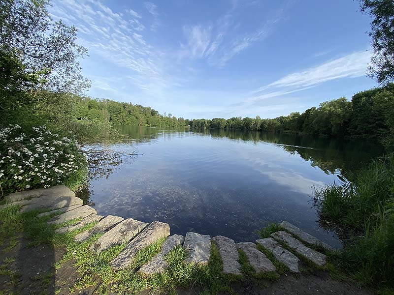 Der Badesee Moosweiher in Freiburg in Baden-Württemberg