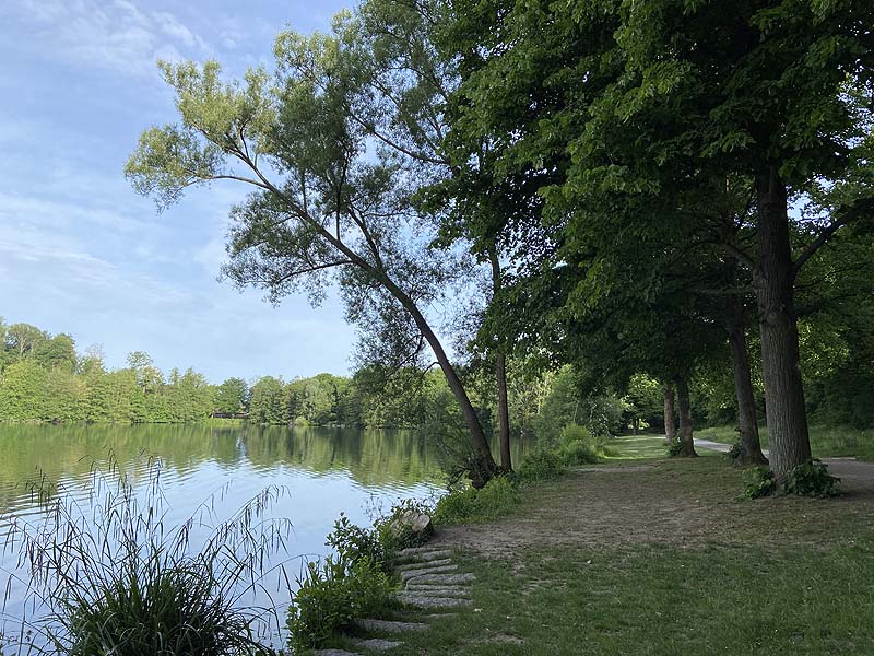 Der Badesee Moosweiher in Freiburg in Baden-Württemberg