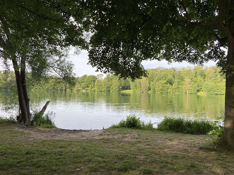 Der Badesee Moosweiher in Freiburg in Baden-Württemberg