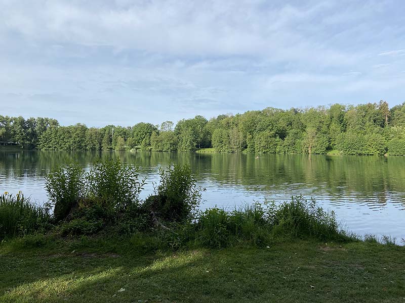 Der Badesee Moosweiher in Freiburg in Baden-Württemberg
