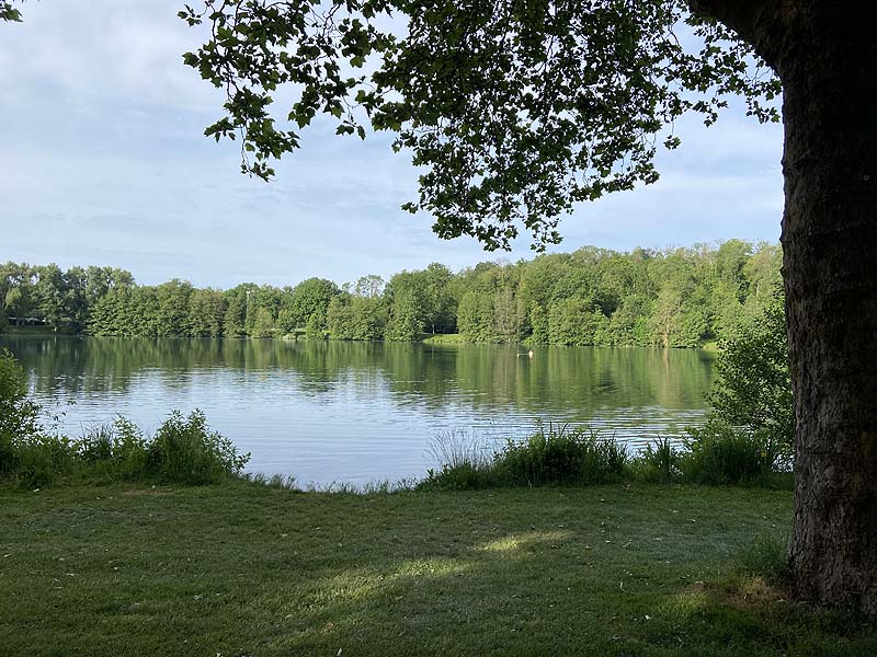 Der Badesee Moosweiher in Freiburg in Baden-Württemberg