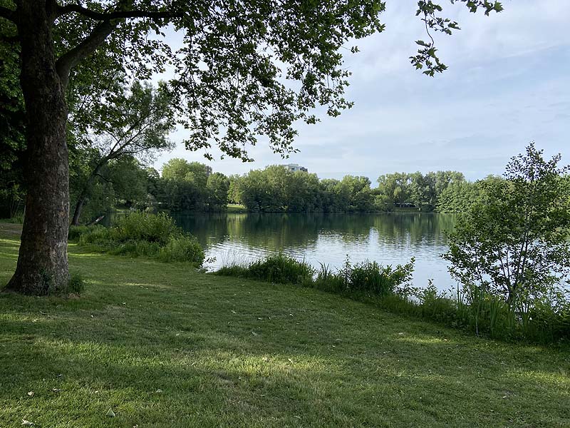 Der Badesee Moosweiher in Freiburg in Baden-Württemberg