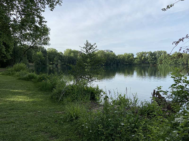 Der Badesee Moosweiher in Freiburg in Baden-Württemberg