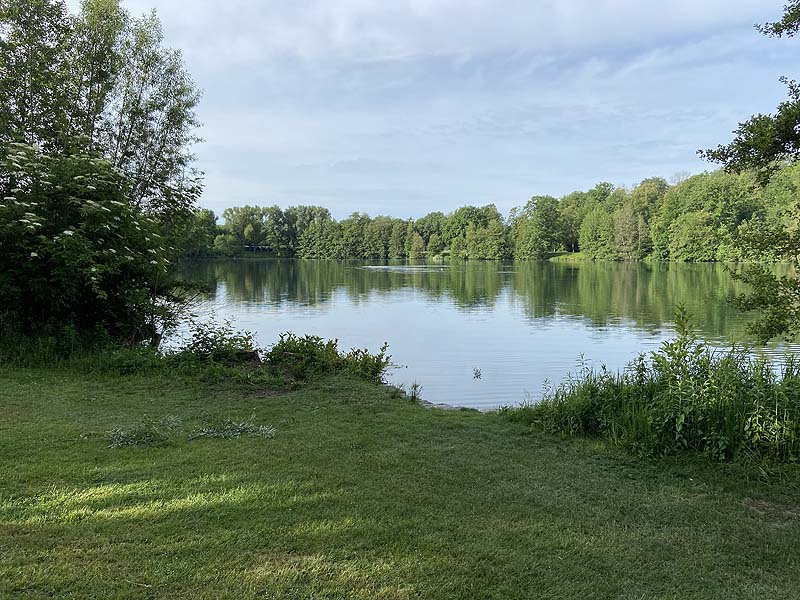 Der Badesee Moosweiher in Freiburg in Baden-Württemberg
