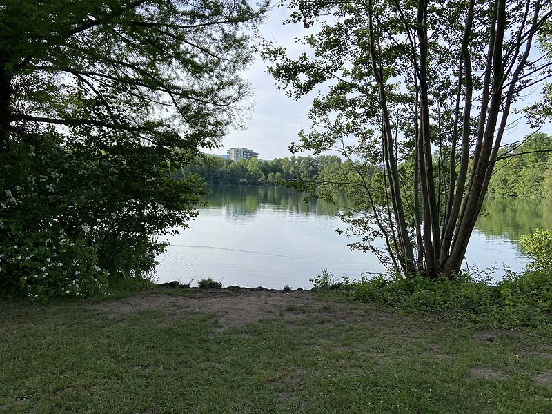 Der Badesee Moosweiher in Freiburg in Baden-Württemberg