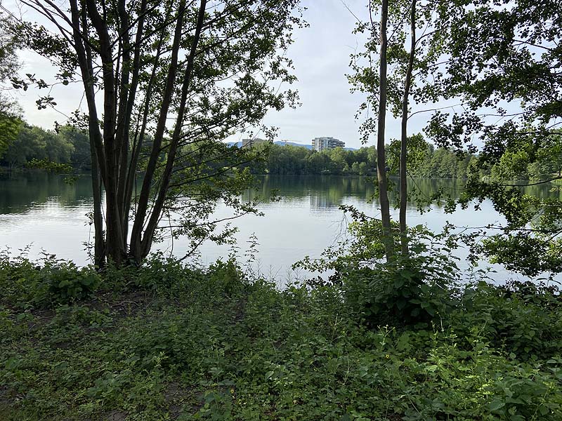 Der Badesee Moosweiher in Freiburg in Baden-Württemberg