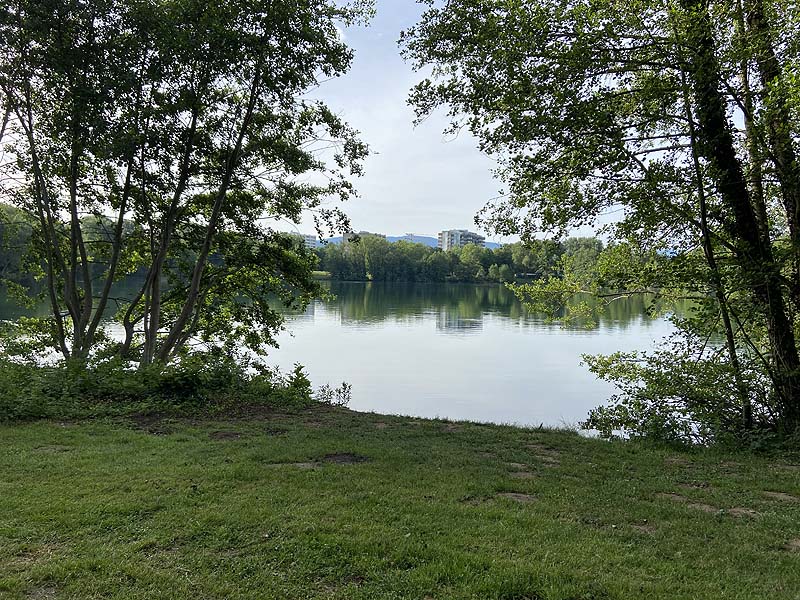 Der Badesee Moosweiher in Freiburg in Baden-Württemberg