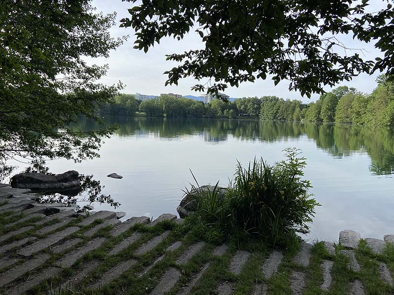 Der Badesee Moosweiher in Freiburg in Baden-Württemberg