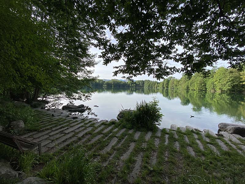 Der Badesee Moosweiher in Freiburg in Baden-Württemberg