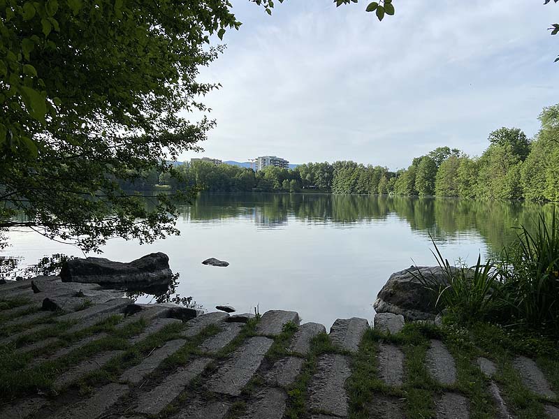 Der Badesee Moosweiher in Freiburg in Baden-Württemberg
