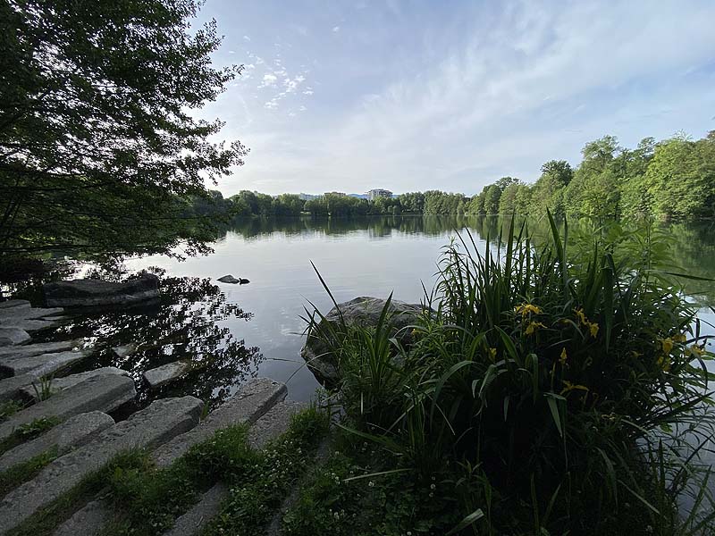 Der Badesee Moosweiher in Freiburg in Baden-Württemberg
