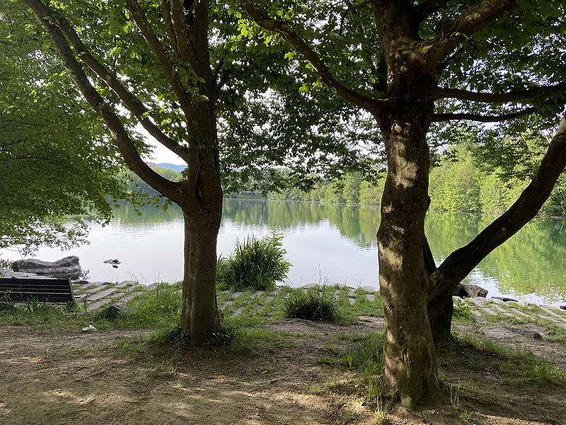 Der Badesee Moosweiher in Freiburg in Baden-Württemberg