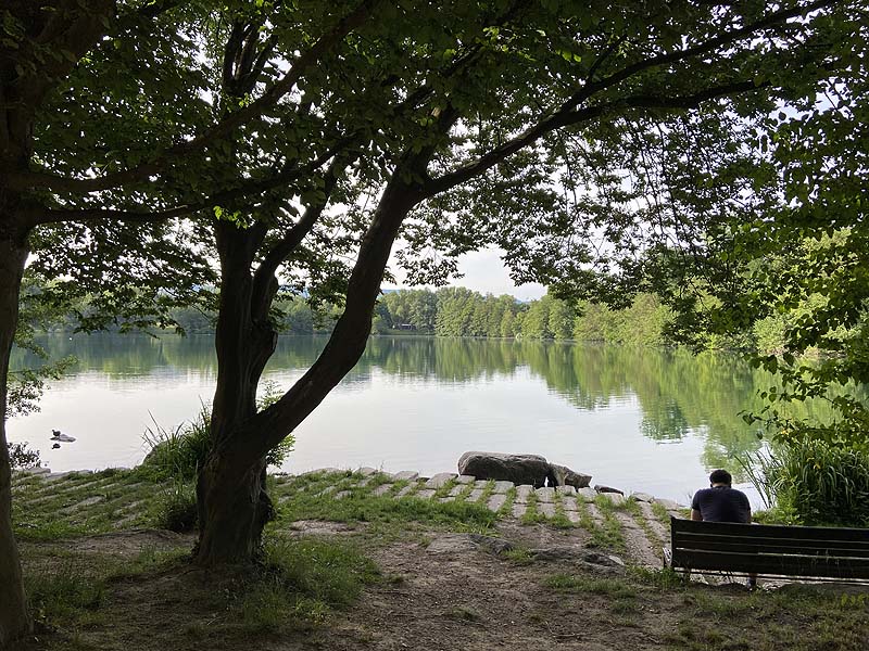 Der Badesee Moosweiher in Freiburg in Baden-Württemberg