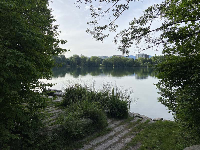 Der Badesee Moosweiher in Freiburg in Baden-Württemberg