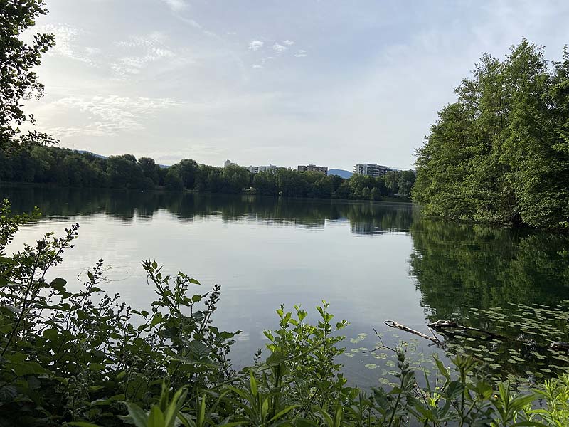 Der Badesee Moosweiher in Freiburg in Baden-Württemberg