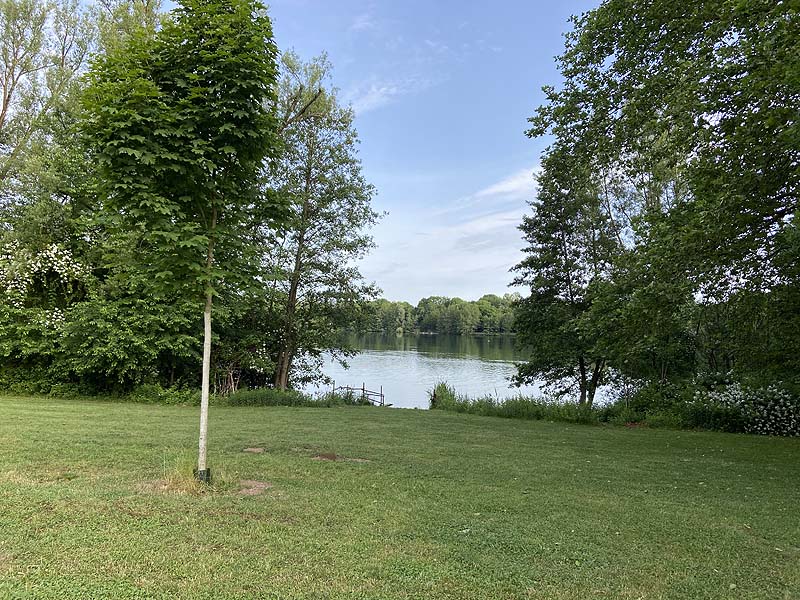 Der Badesee Moosweiher in Freiburg in Baden-Württemberg