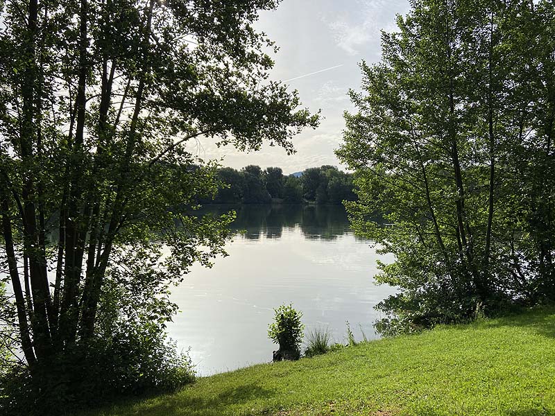Der Badesee Moosweiher in Freiburg in Baden-Württemberg