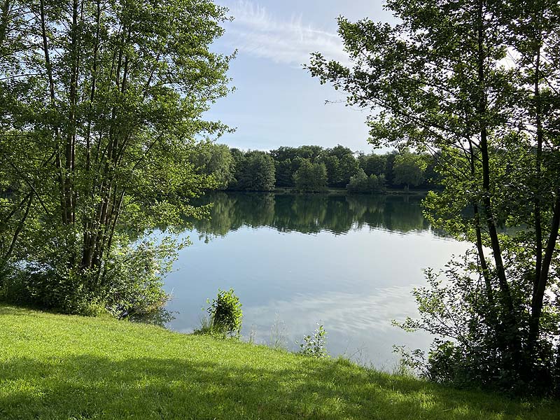 Der Badesee Moosweiher in Freiburg in Baden-Württemberg