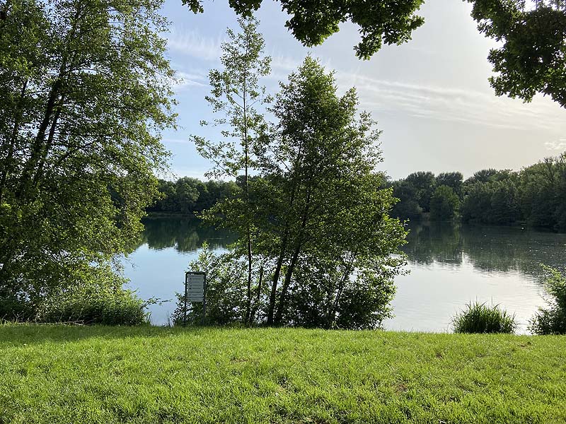 Der Badesee Moosweiher in Freiburg in Baden-Württemberg
