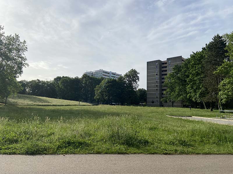 Der Badesee Moosweiher in Freiburg in Baden-Württemberg