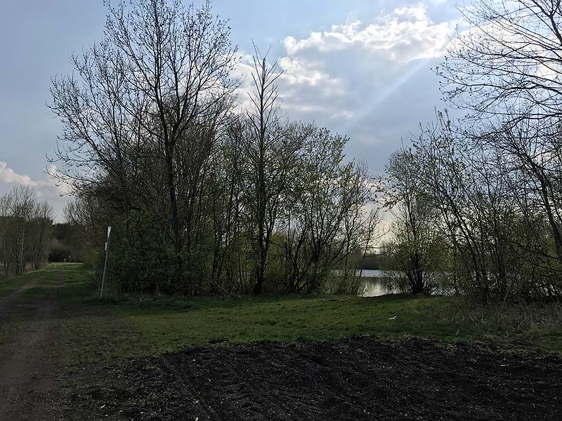 Mückensee Obergrashof bei Dachau