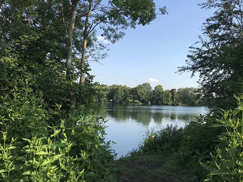 Mückensee Obergrashof bei Dachau