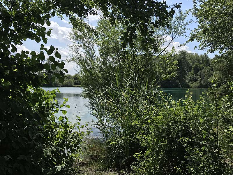 Mückensee Obergrashof bei Dachau