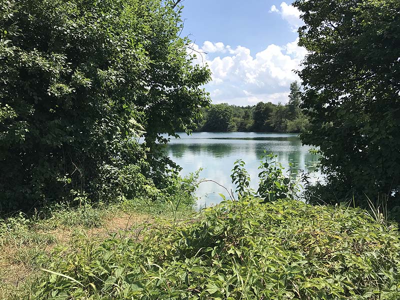 Mückensee Obergrashof bei Dachau