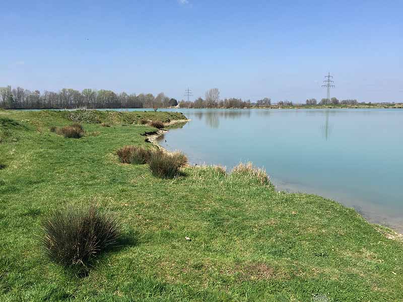 Baggersee (Mühlhausen, Bayern)