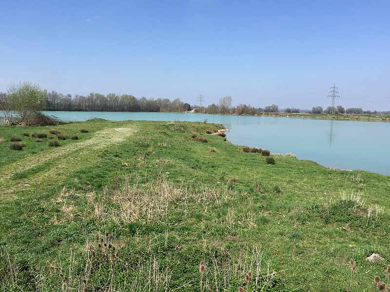 Baggersee (Mühlhausen, Bayern)