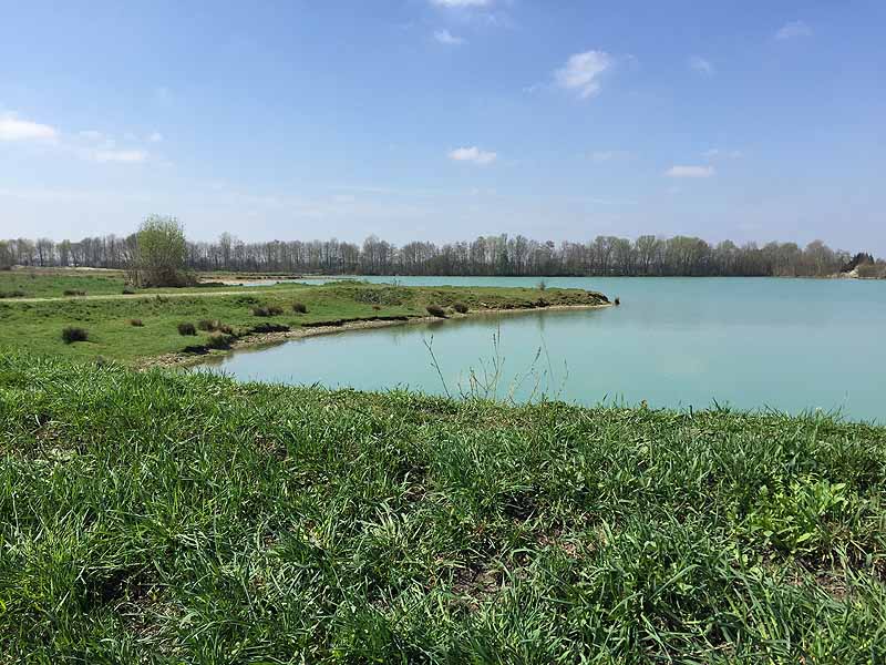 Baggersee (Mühlhausen, Bayern)