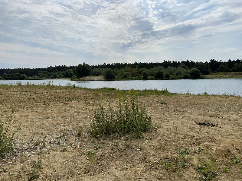 Der FKK Baggersee in Münchsmünster