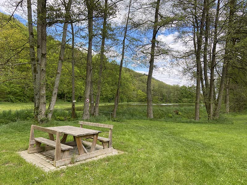 Der Badesee Naturbad Magdalenental in Trisching