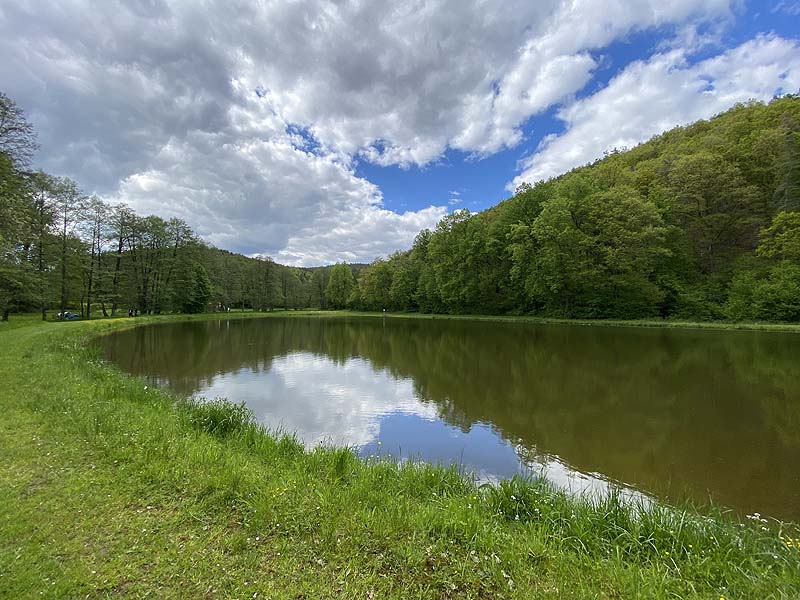 Der Badesee Naturbad Magdalenental in Trisching