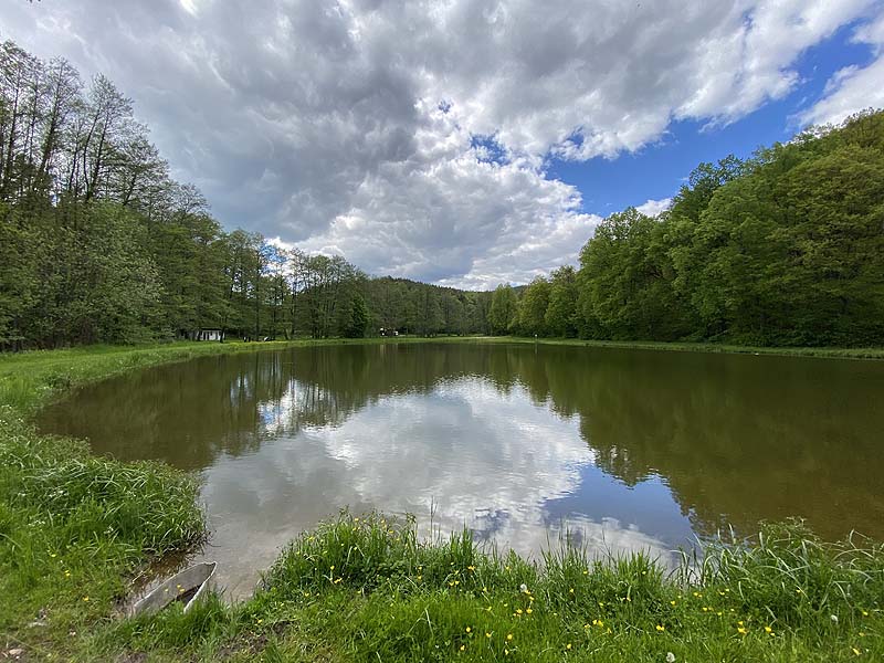 Der Badesee Naturbad Magdalenental in Trisching