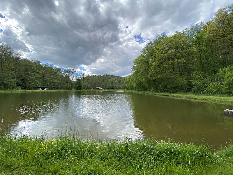 Der Badesee Naturbad Magdalenental in Trisching