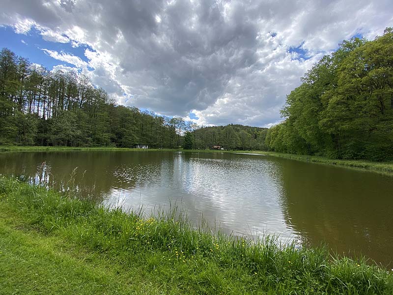 Der Badesee Naturbad Magdalenental in Trisching
